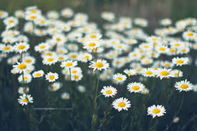 114 Days Later- Unanswered Questions Answered...