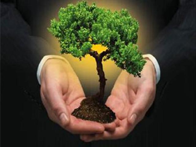 Asamblea General de las Naciones Unidas