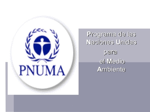 PNUMA