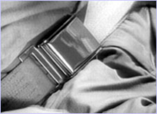 Seat Belt