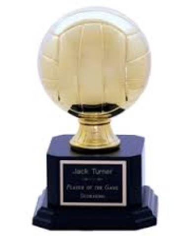 Mi equipo y yo ganamos el voleíbol barrio