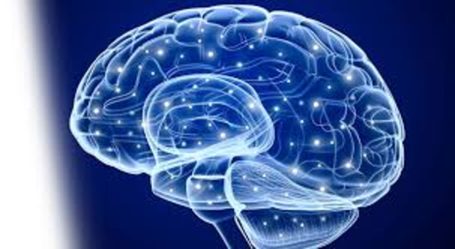 Finish specialization training