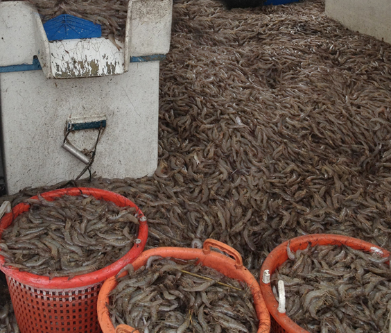 Hurricane Camen struck Louisiana