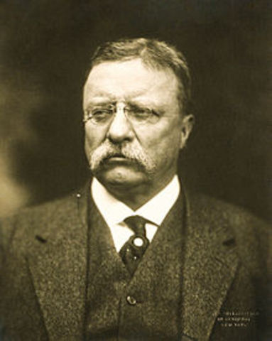 Teddy Roosevelt becomes president