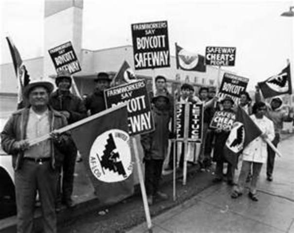 United Farm Worker (UFW)