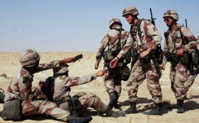 Deelname van de divisie aan de Eerste Golfoorlog in Irak