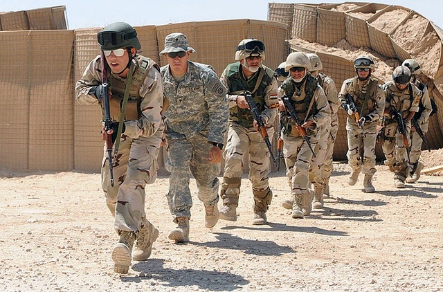 Deelname van de divisie aan de Tweede Golfoorlog