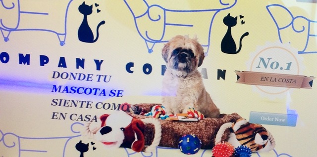 Creación de la página web.