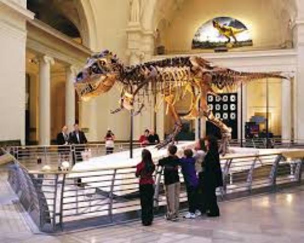 Fui al museo Villa Roy en Honduras