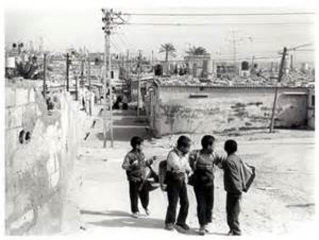 Cease Fire in Palestine