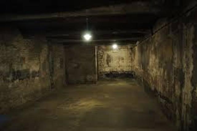 “Final Solution” begins.  This is a plan to exterminate all Jews in Europe.