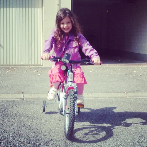 The bicycle was born