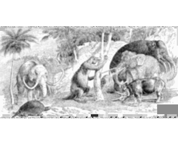 Cenozoica o Terciaria