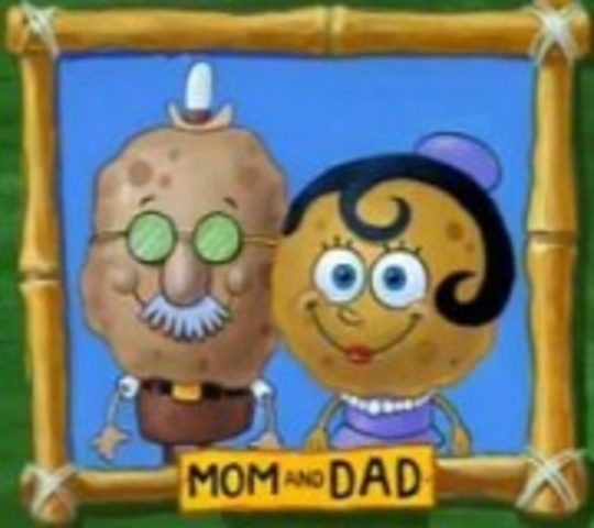 Spongebobs parents get divorced
