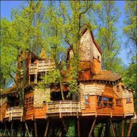 Tree house