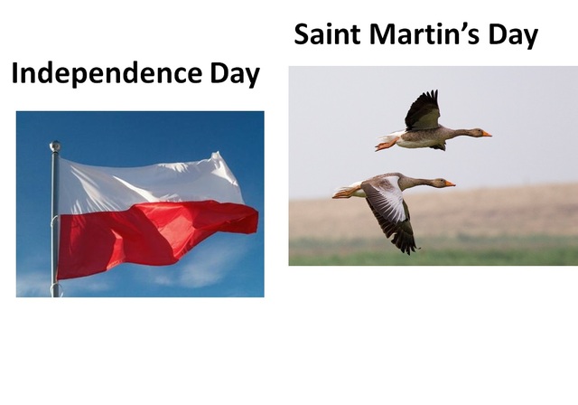 Saint Martin's Day (Hungary) National Independence day (Poland)
