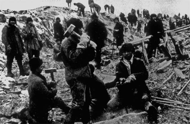 the great terror in the soviet union