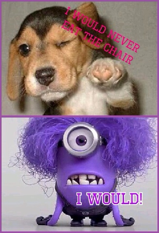 let talk about chairs