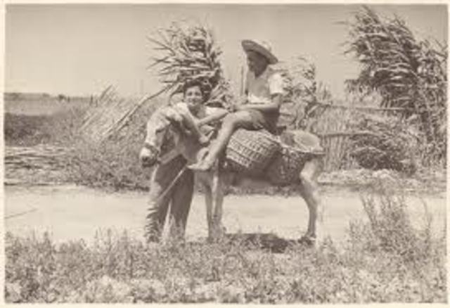 UN PAPEL ECONÓMICO EN LOS SESENTA