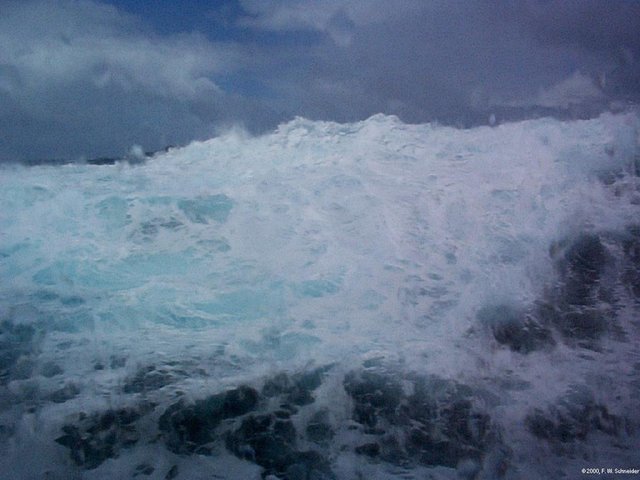 The United Kingdom begins the naval blockade of Germany