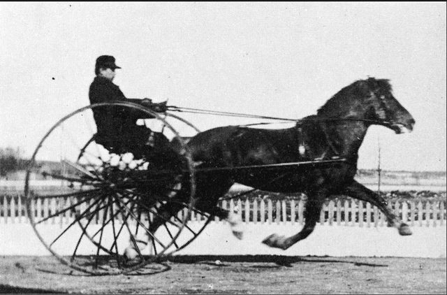 ACER A LA CONSTRUCIÓ