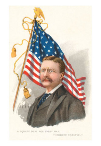 Theodore Roosevelt Becomes President