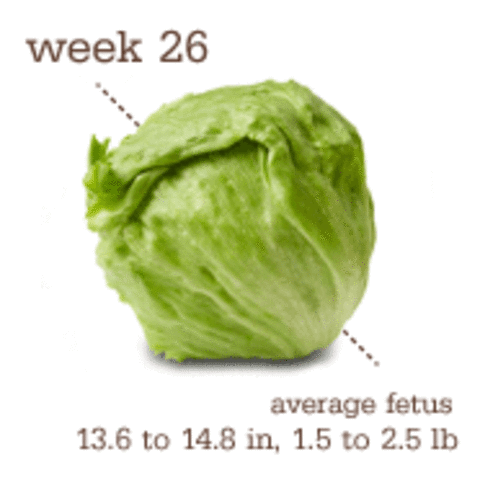 Week 26
