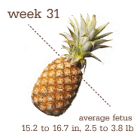 Week 33