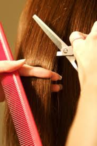 Find my career maybe a cosmatologist