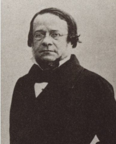 VENEZIA insorge contro l'Austria