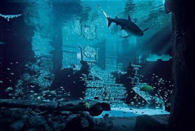 When I was 9 I wanted to archaeologist.