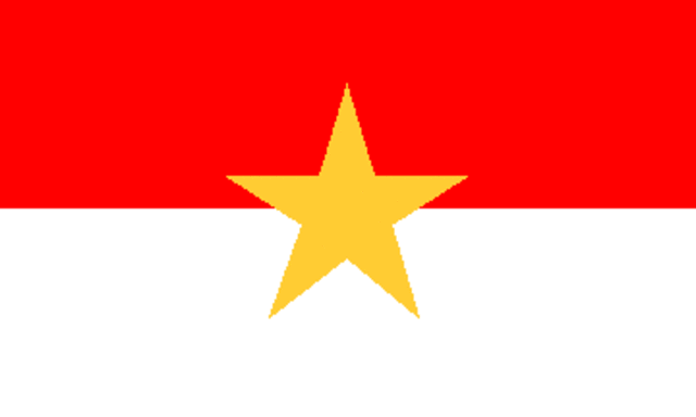NLF viet cong established
