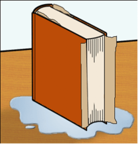 soaked books