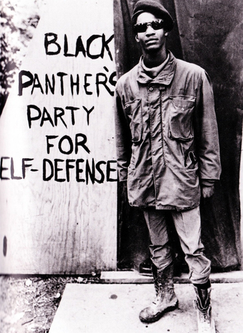 Black Panther Parties