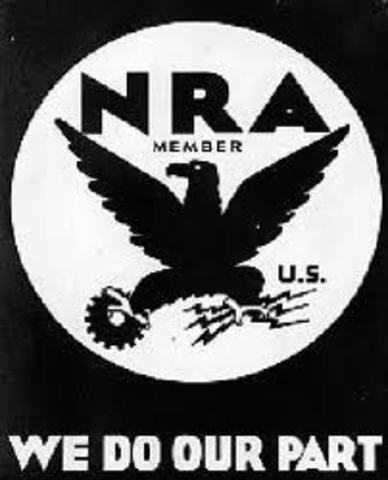 The Great Depression: National Recovery Act (NRA)
