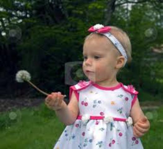 First Sentence: Cognative