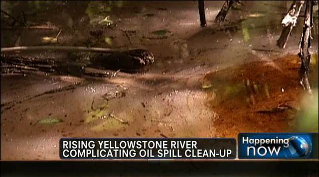 Diesel oil spill in rivers