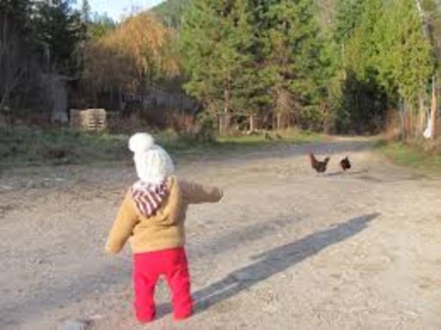 Communication: Cognative