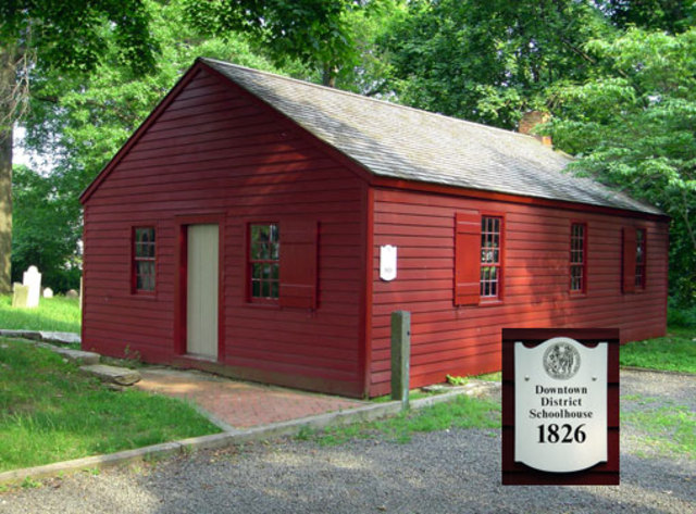 Public schooling is required