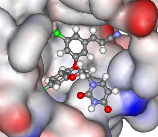 Discovery of what causes Hiv or aids