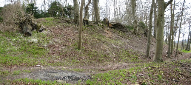 Vespasian's Camp 700 BC