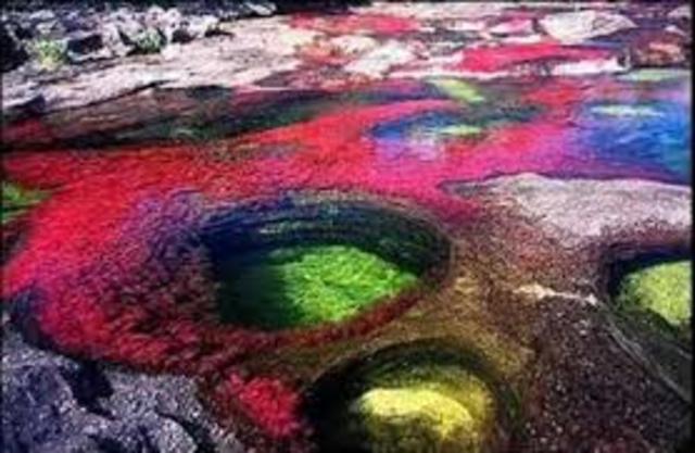 caño de cristales