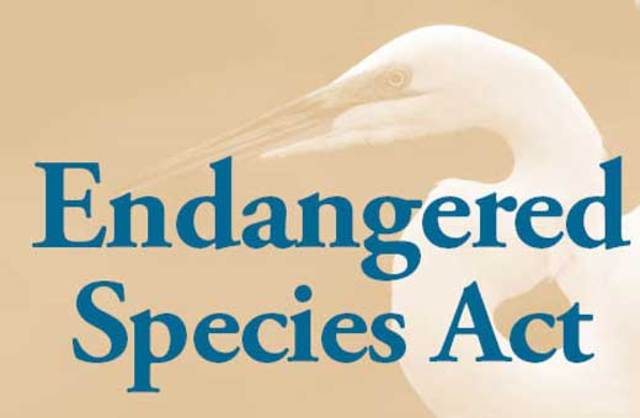 Endangered Species Act