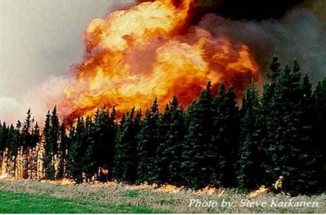 Yellowstone Fires of 1988