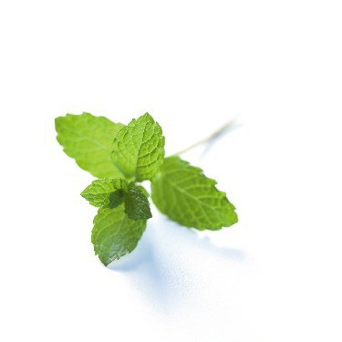 Se crea la primer escuela llamada, Yerbabuena