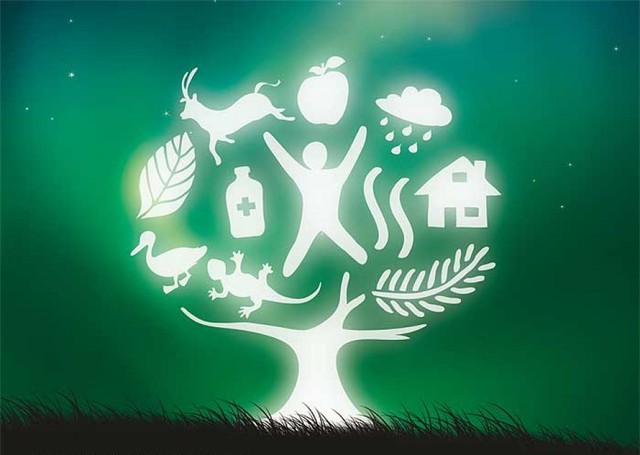 Conferencia mundial sobre medio ambiente  y desarrollo