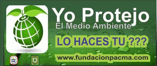 III PROGRAMA COMUNITARIO DE ACCION EN MEDIO AMBIENTE
