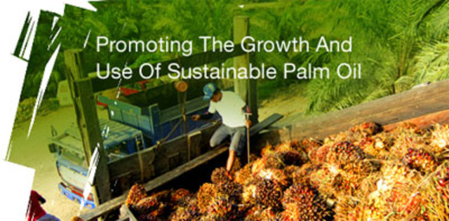 EL ACEITE DE PALMA SOSTENIBLE CERTIFICADO ENTRA AL MERCADO