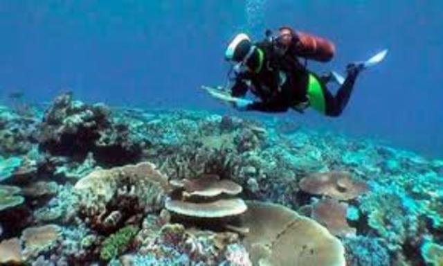 ASEGURAN AREA MARITIMA