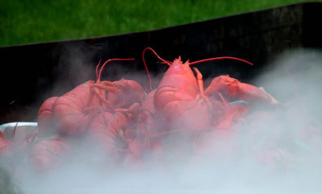 festival de la langosta de meine (ee.uu)